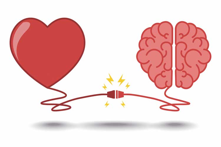 ارتباط قلب و مغز چگونه میباشد ؟